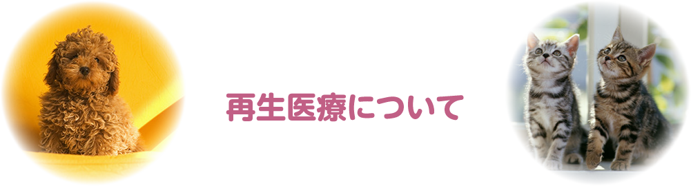 再生医療について