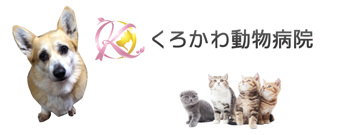 広島県広島市安芸区くろかわ動物病院